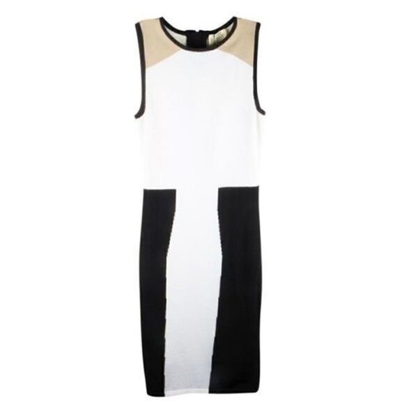 Torn by Ronny Kobo Dresses & Skirts - TORN By Ronny Kobo Colorblock Bodycon Striped Black White Tan Dress Small